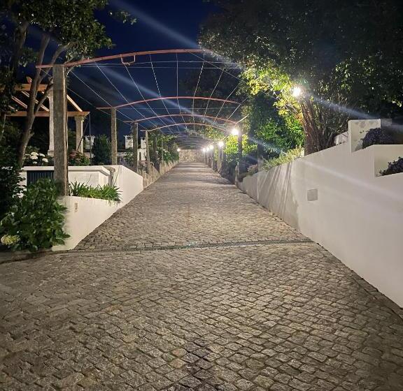 مبيت وإفطار Solar Da Boavista