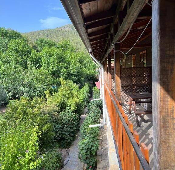 هتل Asmalı Köşk Pansiyon