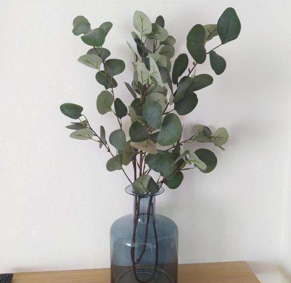 پانسیون Casa Pereira