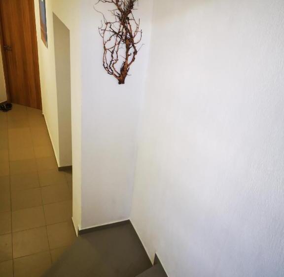 پانسیون Guest House Petrovi