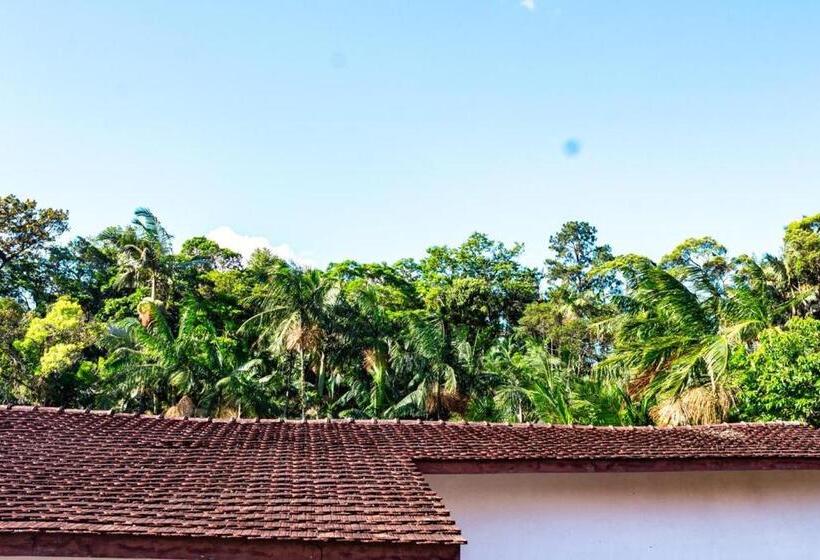 فندق Br 101 Confort Suítes Joinville