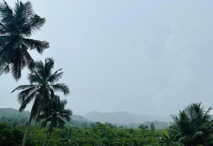 膳宿费 D Studio Villa