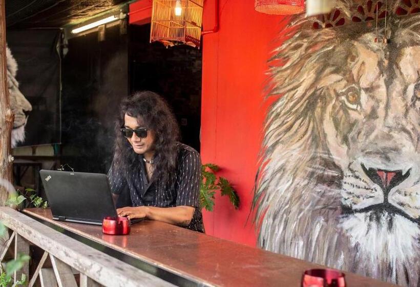 پانسیون House Of Lion Hostel And Guesthouse