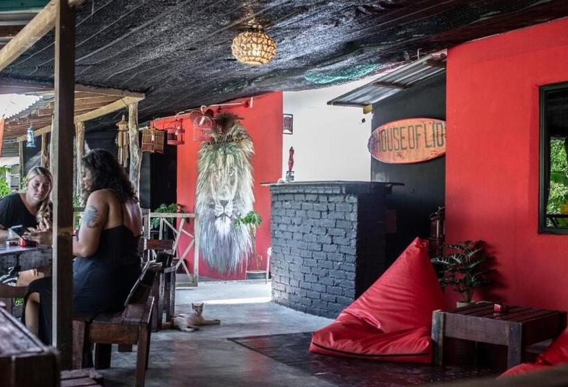 پانسیون House Of Lion Hostel And Guesthouse