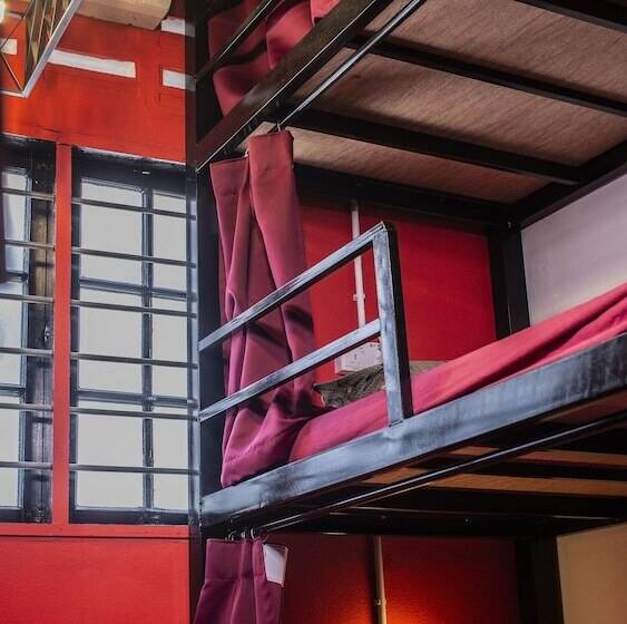 پانسیون House Of Lion Hostel And Guesthouse