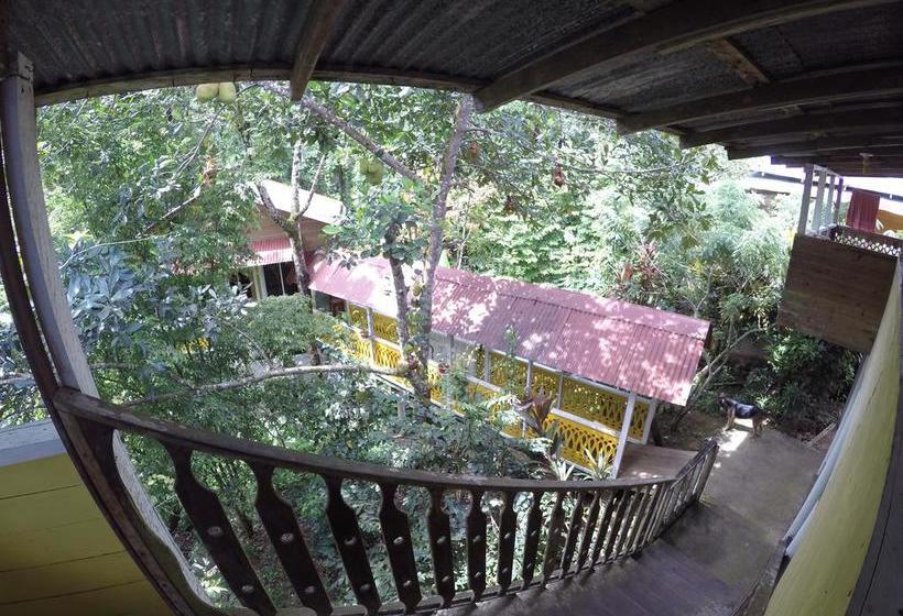 فندق صغير Hostal Bastimentos