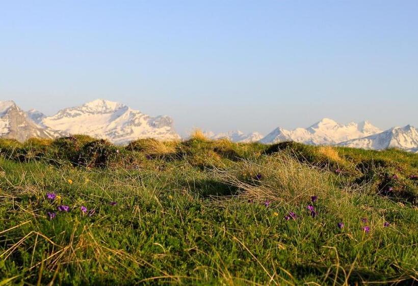 ホテル Pension Laresch