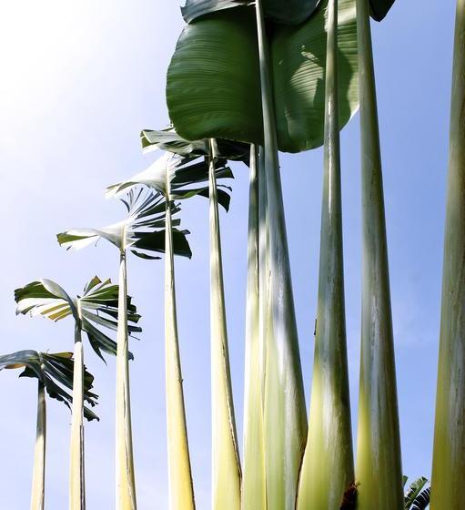 هتل Ribera Del Mar