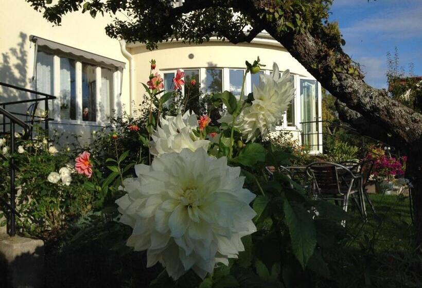 فندق Villa Ingrid
