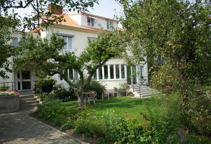 فندق Villa Ingrid