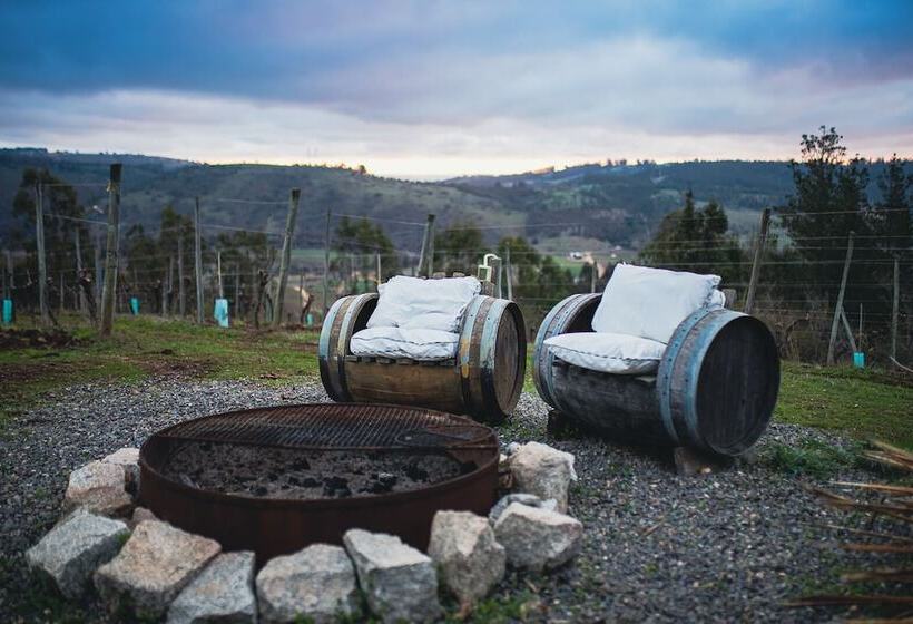 مبيت وإفطار Villa Miramar At Casa Marin Vineyards