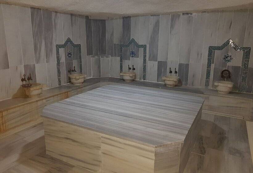 فندق Anemurion
