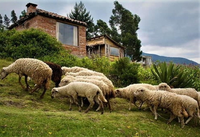 هتل Cabañas Balcón Del Lago