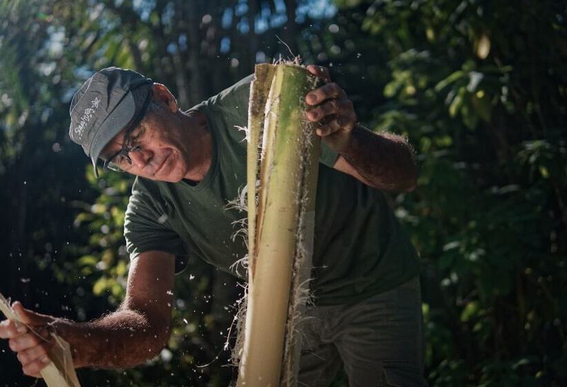 ホテル Fazenda Morros Verdes Ecolodge