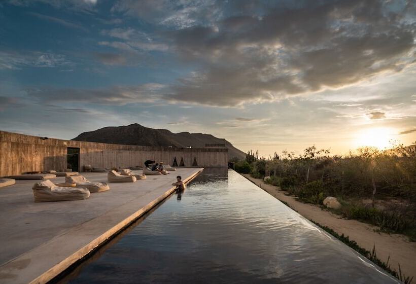 فندق Paradero Todos Santos   Exclusive Experiences