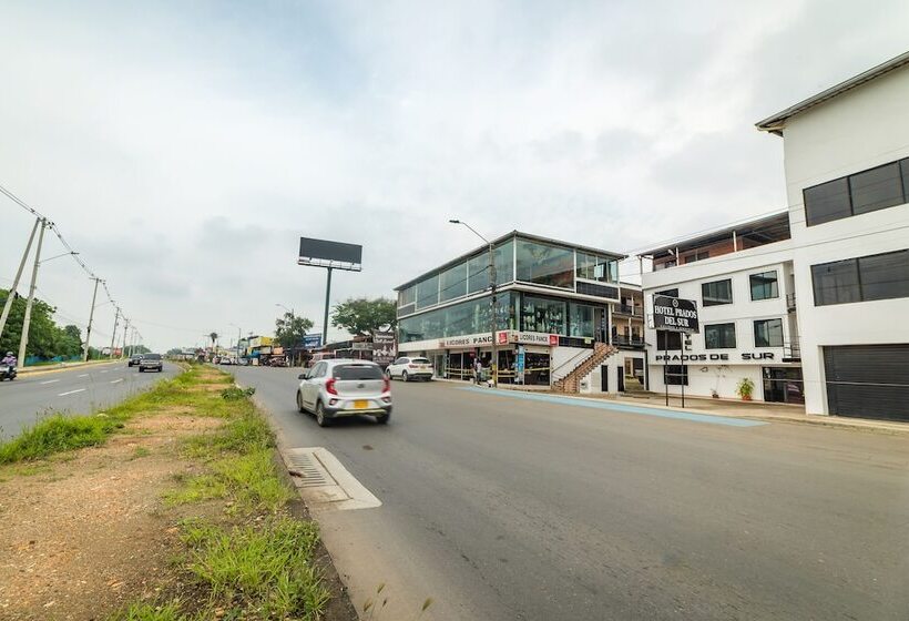 هتل Prados Del Sur