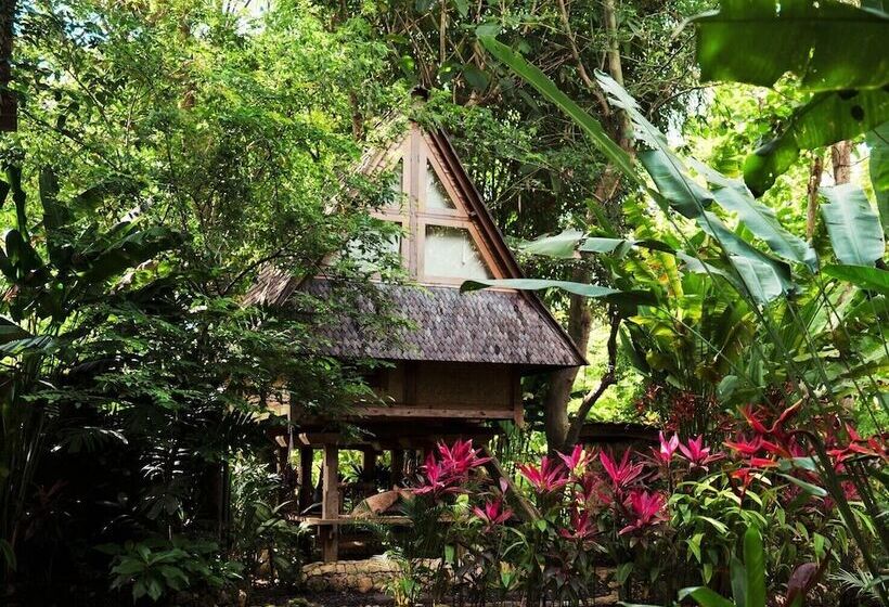 ホテル Roots Tree House