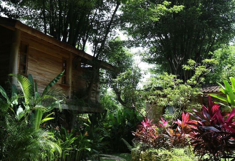 ホテル Roots Tree House