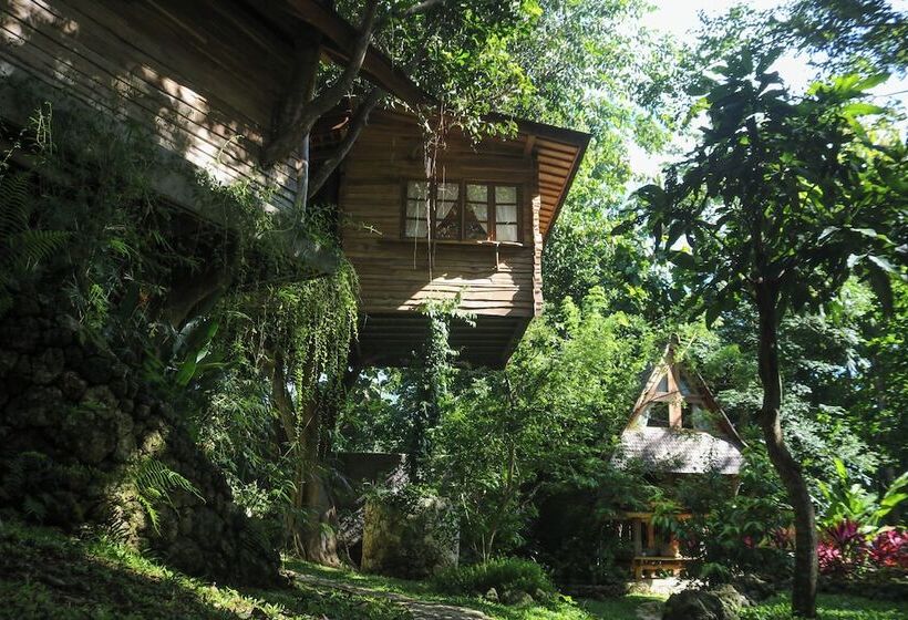 ホテル Roots Tree House
