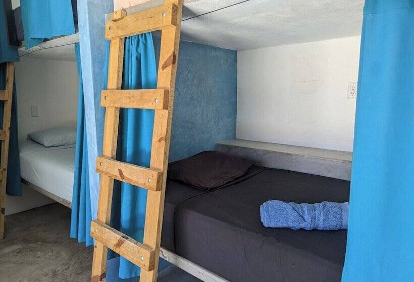 La Ventana Hostel