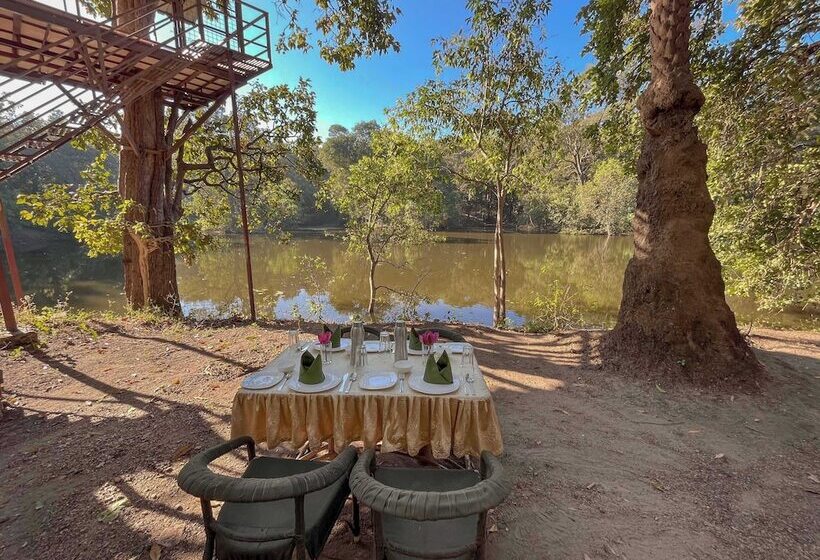 Курорт Rukhad Jungle Camp   Pench