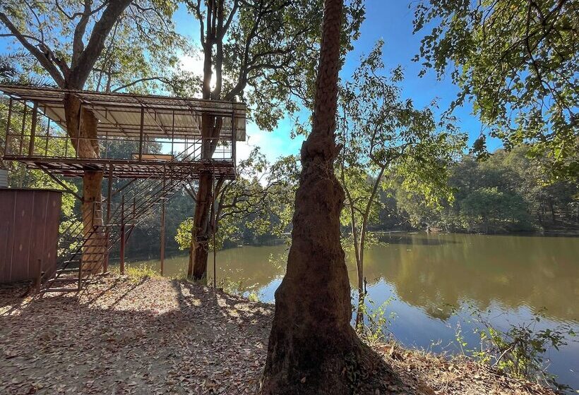Курорт Rukhad Jungle Camp   Pench