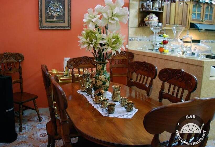 پانسیون Hostal Los Vitrales
