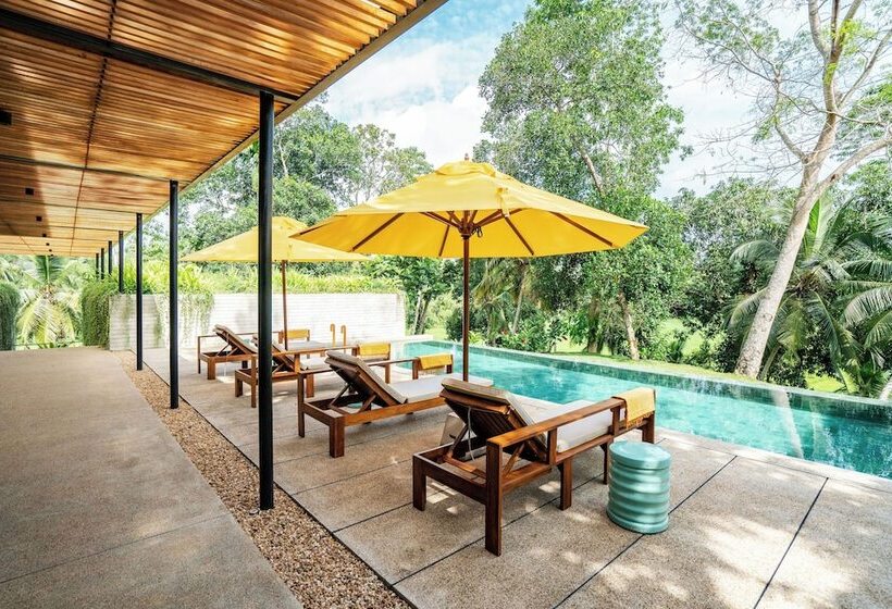 ホテル Villa Alba