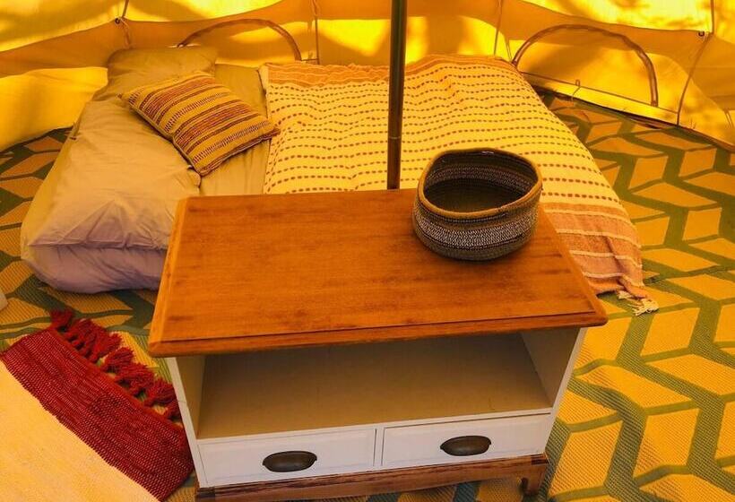 Elm   Bell Tent, Anglesey, North Wales