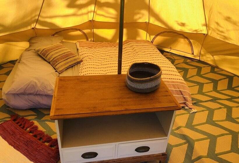 Elm   Bell Tent, Anglesey, North Wales