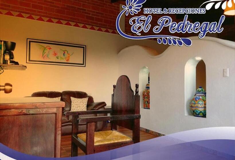 فندق Pedregal