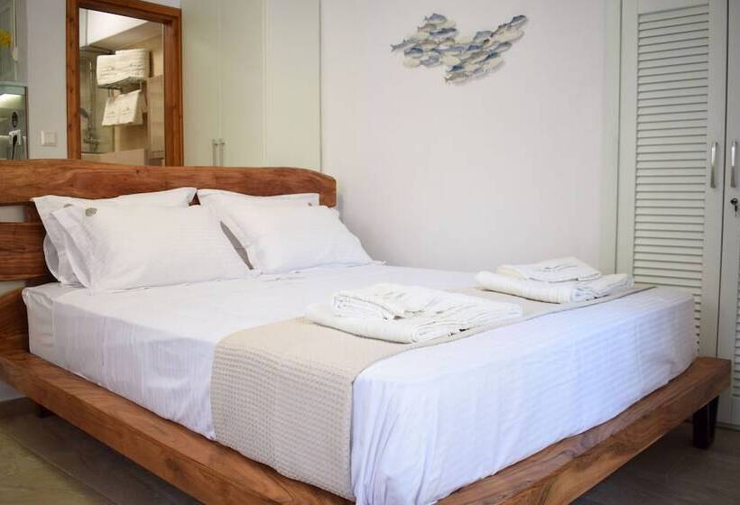פנסיון Myrsini S Studios In Chorto Pelion