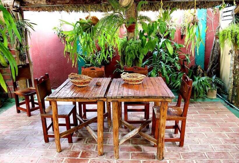 Hostal Paradisus