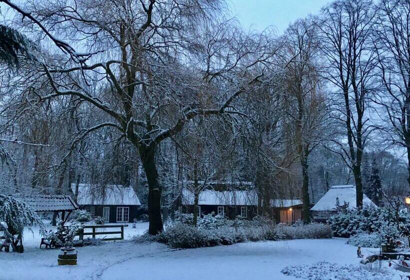 ベッドアンドブレックファースト Hof Van Eersel