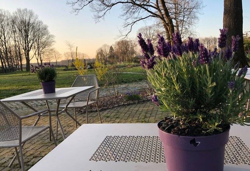 ベッドアンドブレックファースト Hof Van Eersel