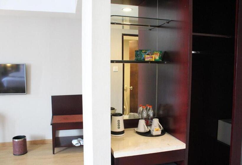 هتل Asialink Premier