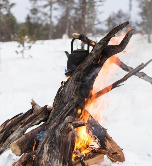 هتل Inari
