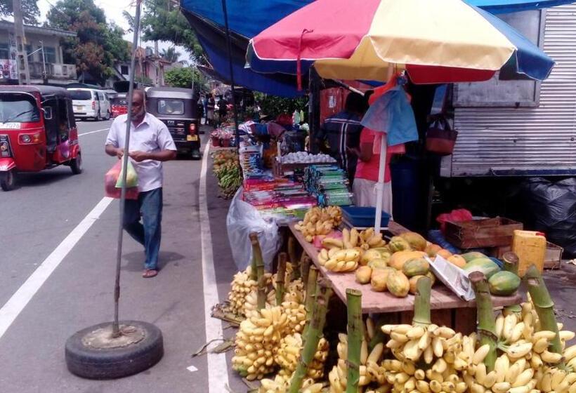 فندق White Bridge House & Resort