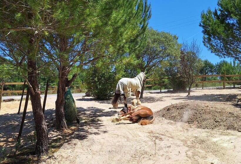 مبيت وإفطار Casadani Studio Inez, Tomar