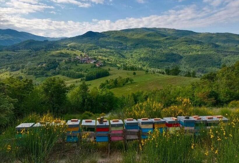 مبيت وإفطار Gran Severino