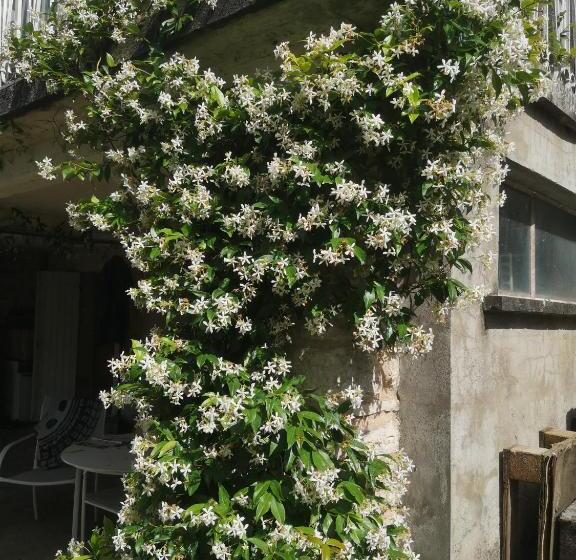 住宿加早餐  Un Coin De Paradis En Dordogne