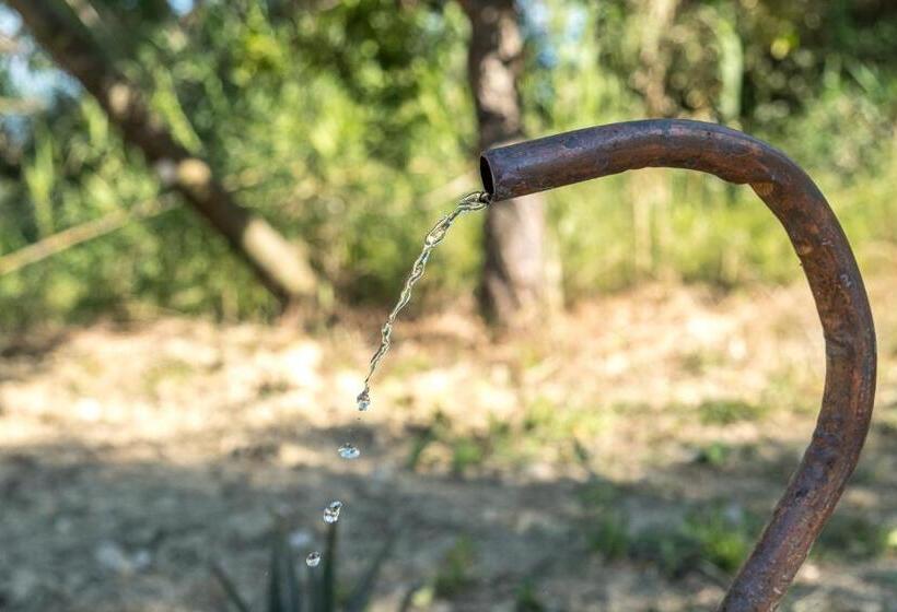 فندق Agriturismo La Sorgente