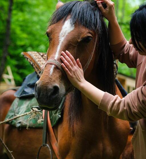 אתר נופש Homeland Motkor