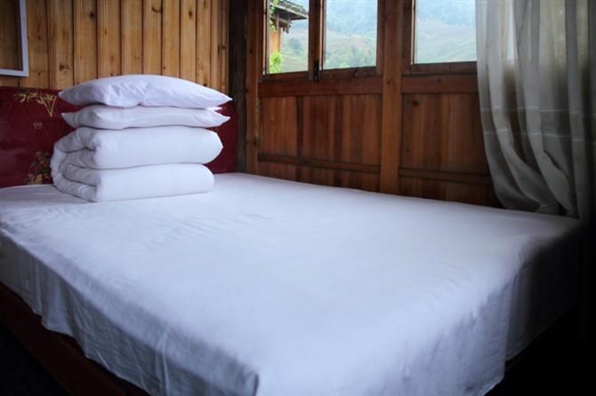 Dragon's Den Hostel