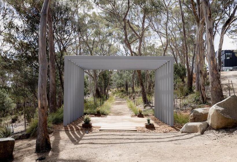 Boxwood Mount Nelson Suite 01c