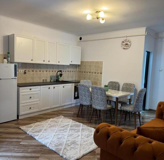 پانسیون Apartament S Moise