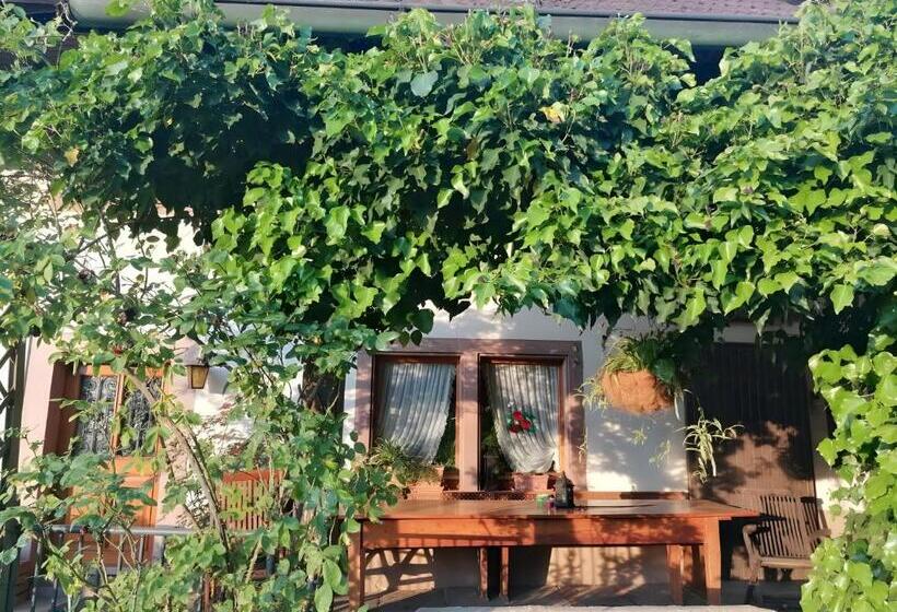 פנסיון Room In Guest Room   Double Room Apple Blossom