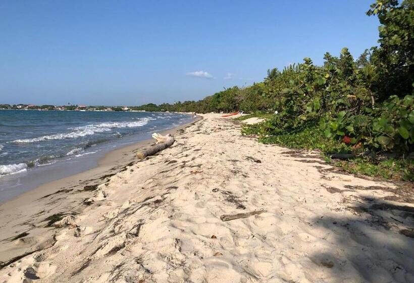 پانسیون Bamboo Rincon Del Mar