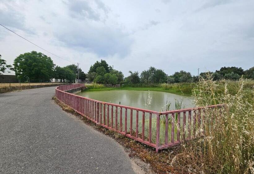 住宿加早餐  Casal Cura   Adults Only