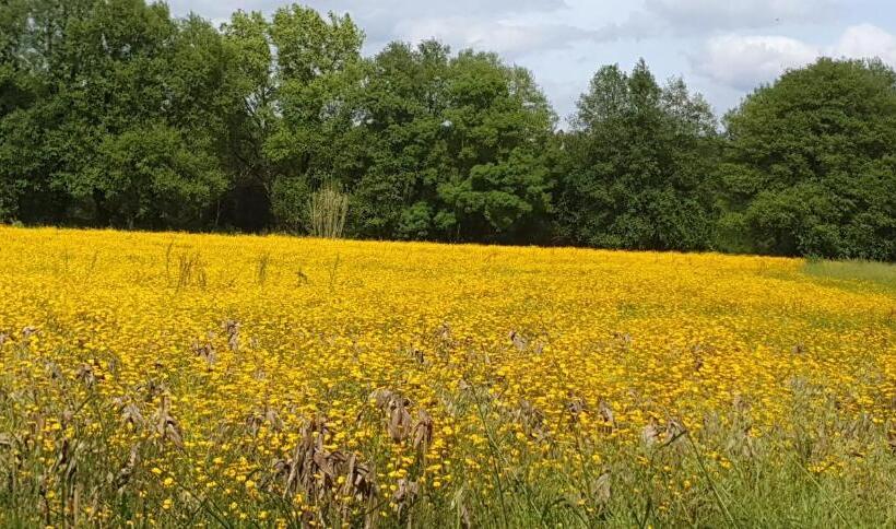 住宿加早餐  Casal Cura   Adults Only